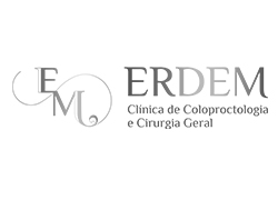erdem-logo